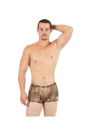 Boxer Savanna  - LM61-67